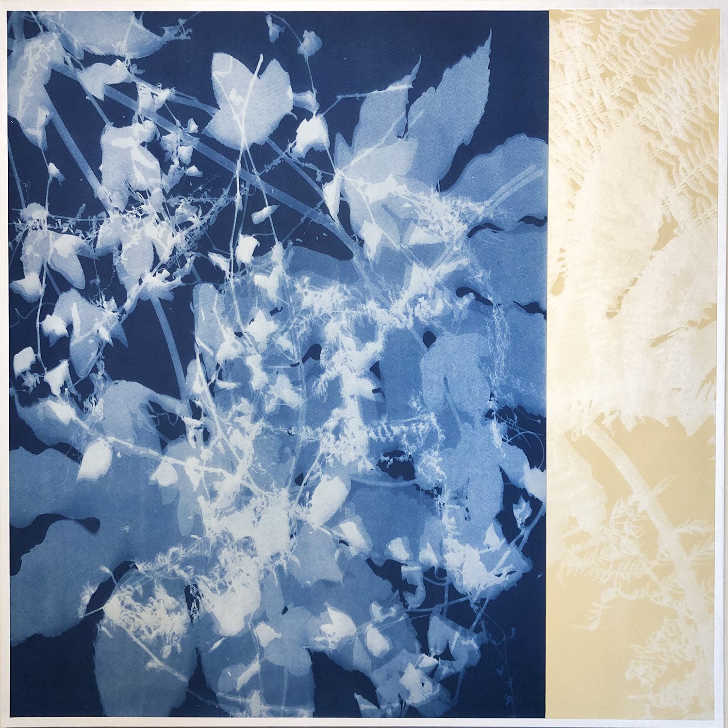 Jacquard Products — Christine So